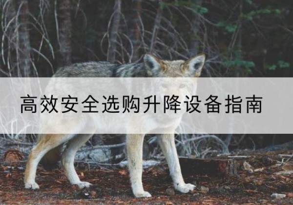 尉犁升降货梯厂家推荐-*安全选购升降设备指南