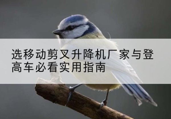 尉犁电动升降机厂家-选移动剪叉升降机厂家与登高车必看实用指南
